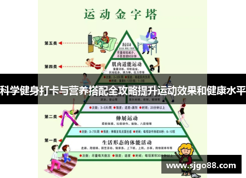 科学健身打卡与营养搭配全攻略提升运动效果和健康水平